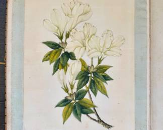 detail