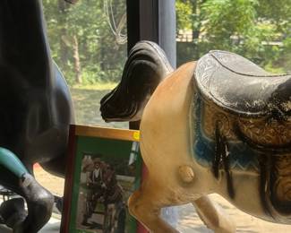 Polo ponies, wild maverick ponies, windows of ponies