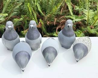 47 PlasticPigeonDecoys