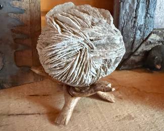 Fossil