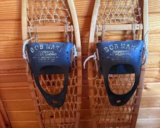 Snowshoes 