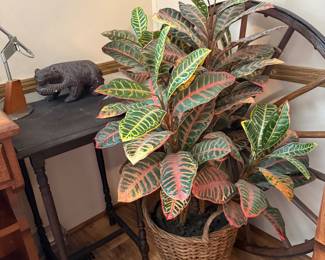 Faux Plant