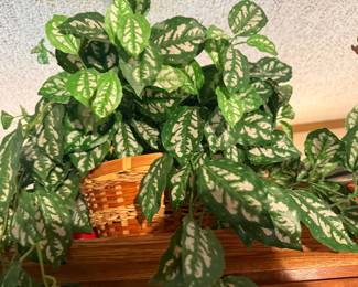 Faux Plant