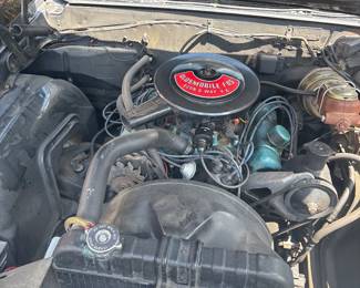 no leaks drive and go daily driver