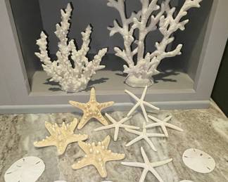 Coastal Decor Resin Coral, Starfish, and Sand Dollar Collection