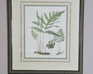 Vintage Botanical Fern Print
