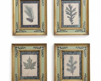 Botanical Prints with Ornate Green and Gold Frames