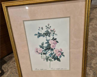 Lot 180: Framed Rosa multiflora carnea botanical print