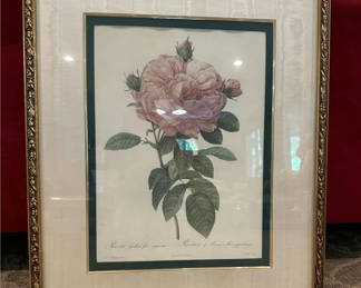 Lot 182: Framed rose botanical print by Pierre-Joseph Redouté