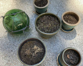 Lot 29: Green Garden Lot