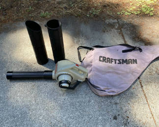 Lot 31: Power Blower