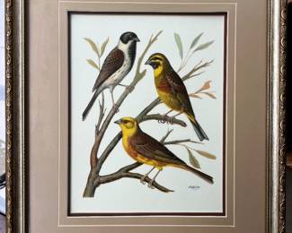 Vintage W. Rutledge bird print, framed.