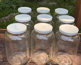 ONE GALLON GLASS JARS W LIDS