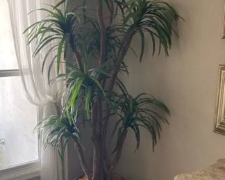 Big Plastic Plant