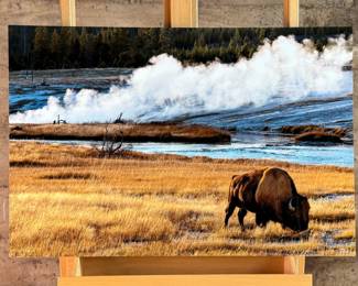 “Ages Past, Yellowstone National Park, Wyoming”, a limited edition photographic print on metal by master photographer, Scott Rubey. Edition 3/250, signed lower right, and measures, 20” H x 30” W.