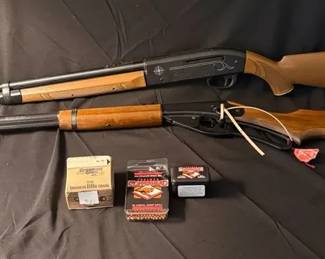 Two BB Guns
