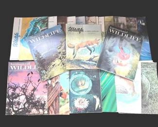 Vintage Wildlife Magazine Lot 1970s National International Wildlife, NC Wildlife
