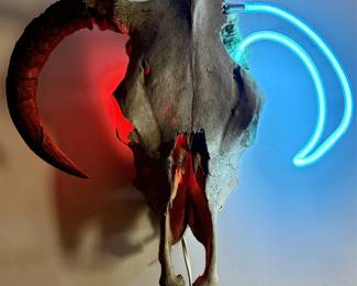 Lot 310 Longhorn Skull with Neon Tube