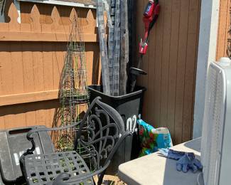 more in the backyard!
