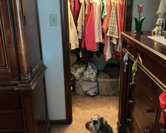 Bentley's looking for you! Clothing (most still with tags)