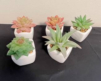 Miniature Artificial Succulent Plants in White Ceramic Pots
