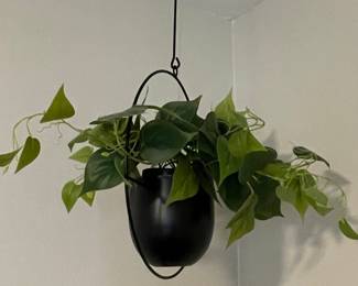 Black Metal Hanging Planter with Faux Pothos
