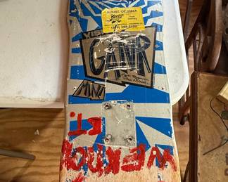 Vintage 1980s Skateboard Decks Collection - Including Gordon & Smith Pine Design and Vision Mark Rogowski 'Gator'