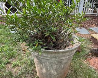 Large Cast Stone Garden Planter