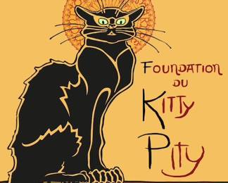 Kitty Pity Cat charity for Stray cat TNR and Foster