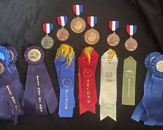 Car model competition award ribbons feature multiple "1st Place" blue rosettes and a "Best Out of Box" awards