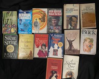 collection of vintage paperbacks featuring classic literature titles