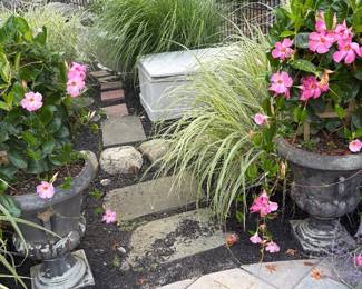 Decorative Cement planters
