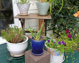 Lot 96: Assorted potted plants in ceramic pots on a wooden stand
