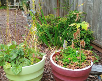 Lot 4: 2 Planters filled with plants