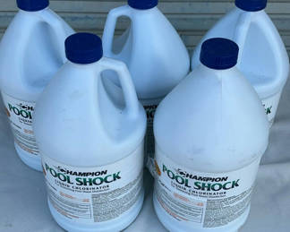 Lot 122: Champion Pool Shock
