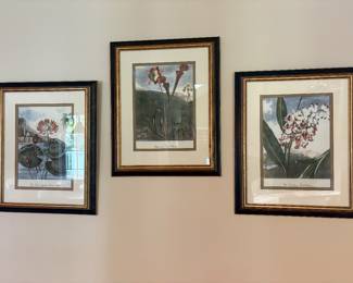 Botanical prints