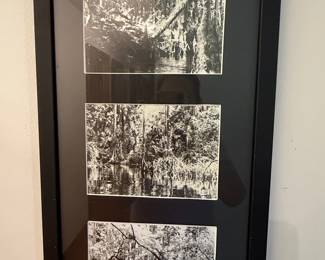 Clyde Butcher Triptych Black and White Swamp Landscape Photographs