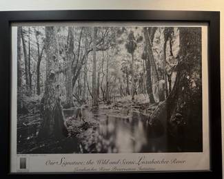 Clyde Butcher "Our Signature: The Wild and Scenic Loxahatchee River" Photograph