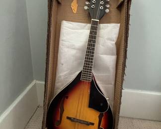 Fender FM-100 A-Style Mandolin Pack