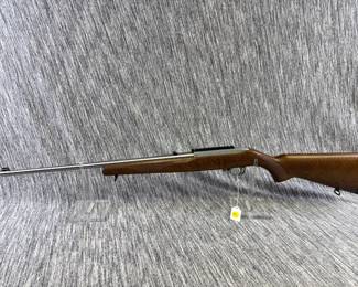 RUGER 10-22 22CAL SEMI RIFLE TRANS #4413