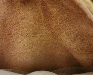 Inside of Leather sofa 