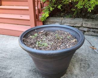 12 of these plastic planters. Full of dirt NO DUMPING. Will be moved to garage for easy removal