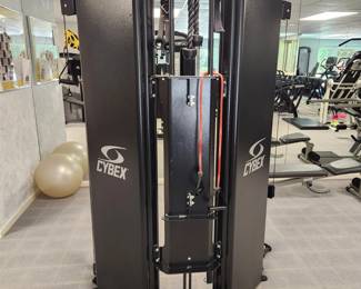 CYBEX Bravo 8840 Functional Trainerback shown