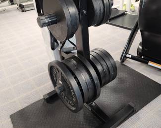 weigh rack with loose plates