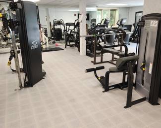 CYBEX gym equipment