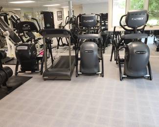 CYBEX gym equipment