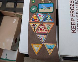 Scout patches 