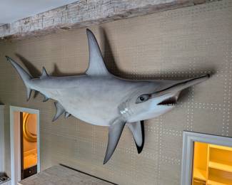 LARGE FIBERGLASS HAMMERHEAD SHARK WALL MOUNT - REAL