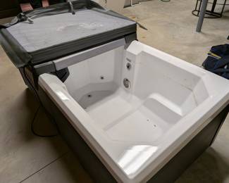 IDEAL SPA PLUNGE COLD PLUNGE TUB MODEL AY200-1P