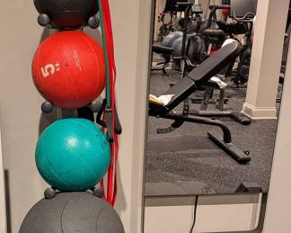 VERTICAL MEDICINE BALL TOWER RACK WITH BALLS AND BANDS